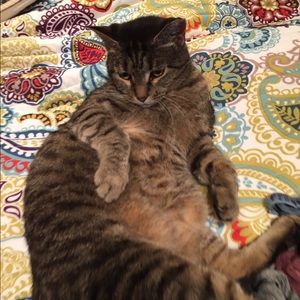 Meet your Posher, Kim